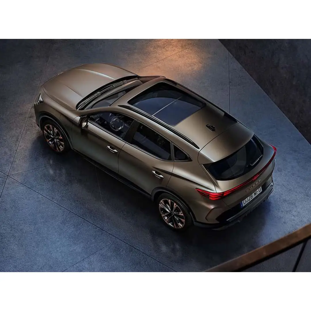 immagine di galleria