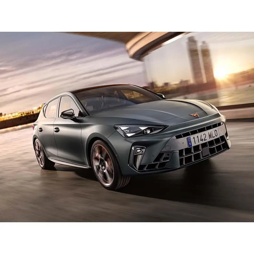 immagine di galleria