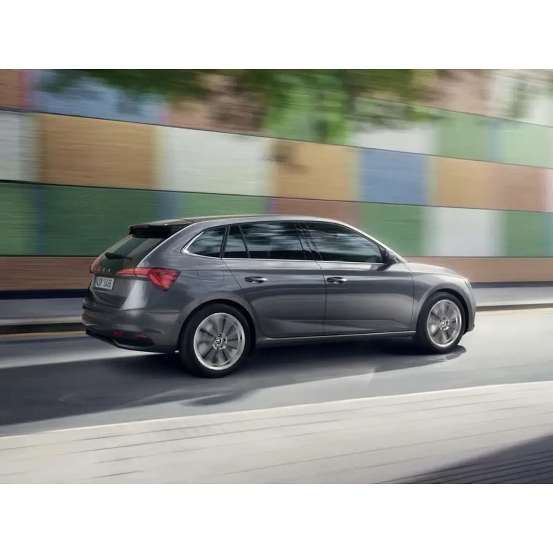 immagine di galleria