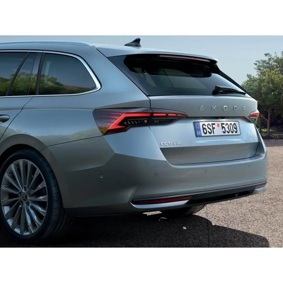 immagine di galleria