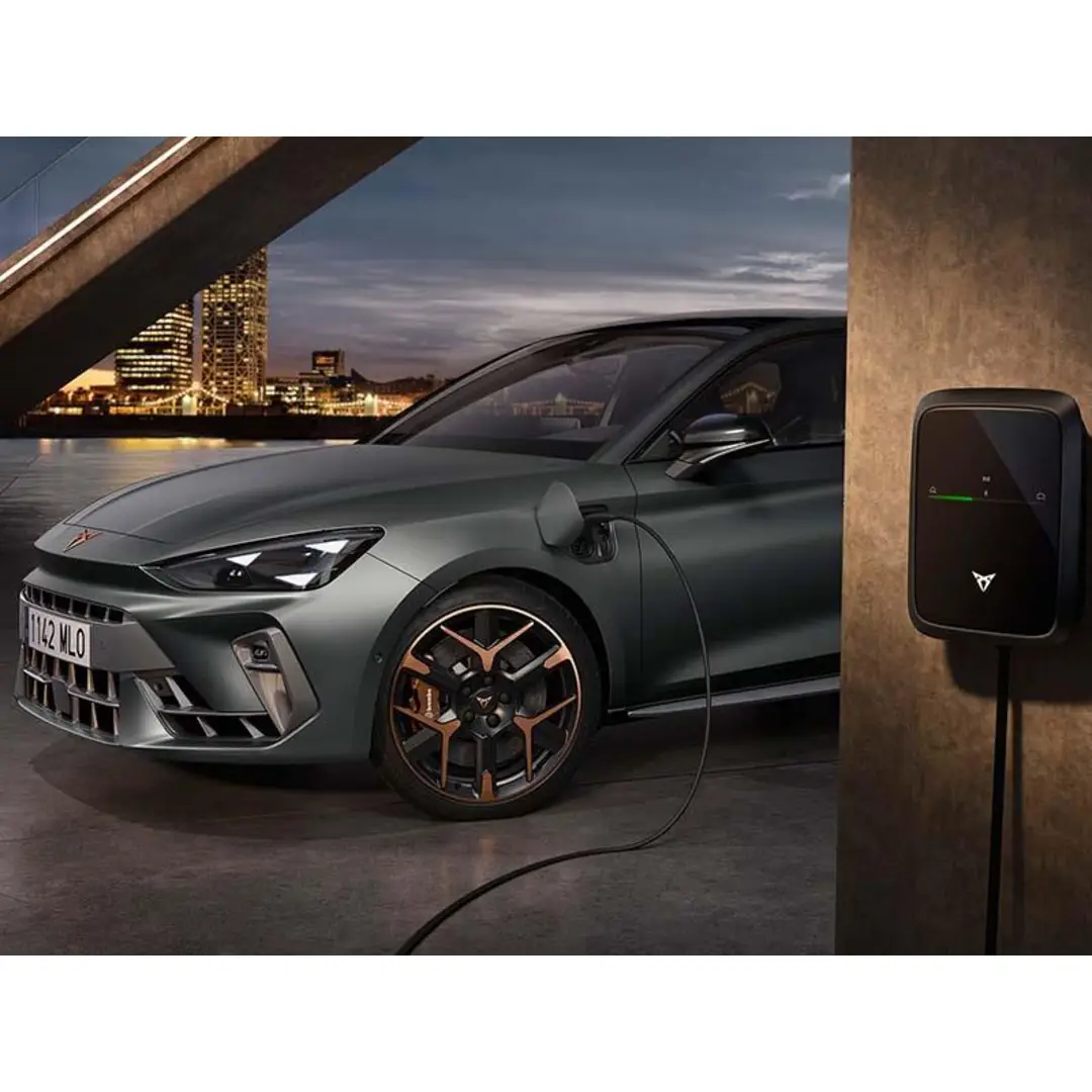 immagine di galleria