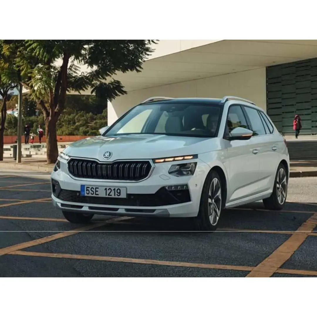 immagine di galleria