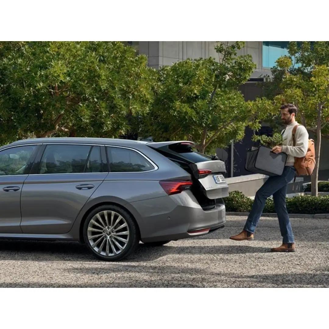 immagine di galleria