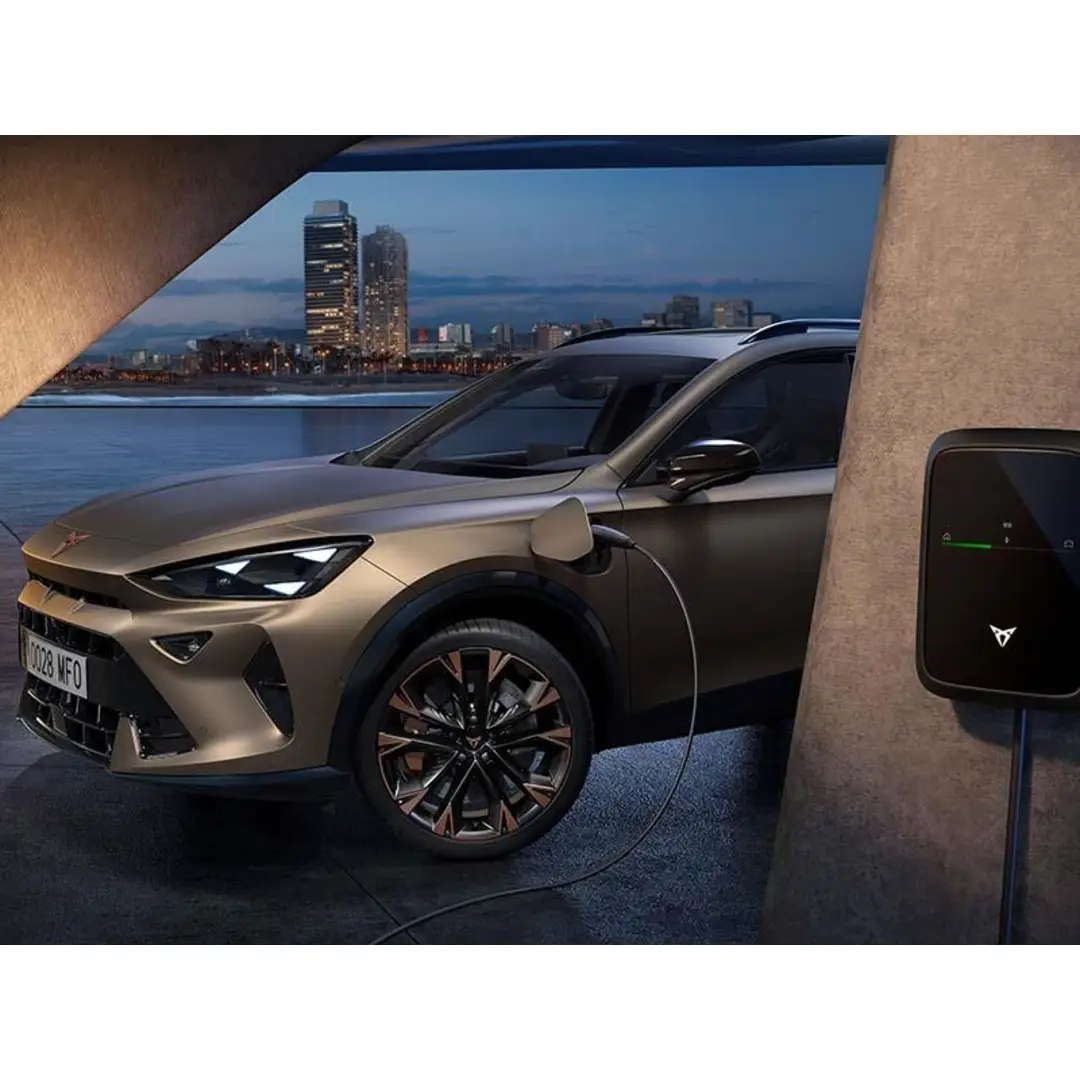 immagine di galleria