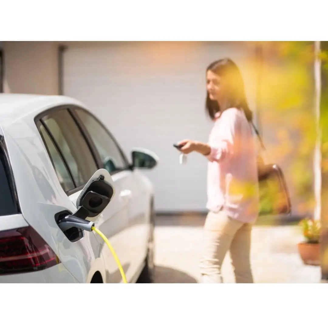 immagine di galleria