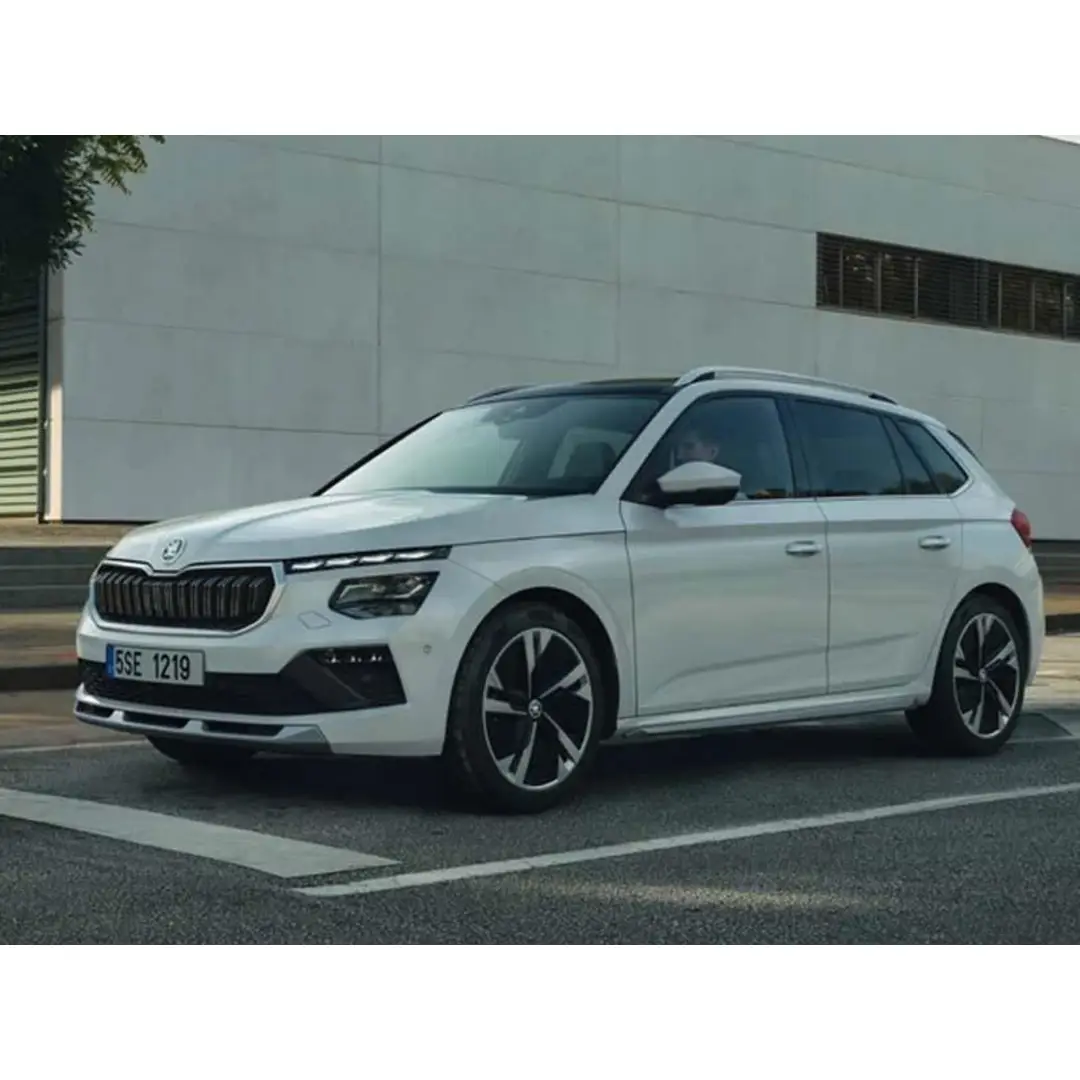 immagine di galleria