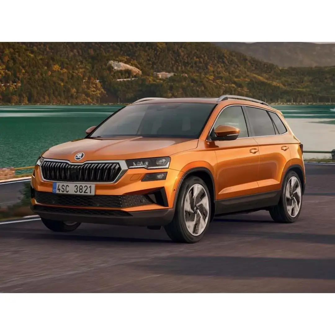 immagine di galleria