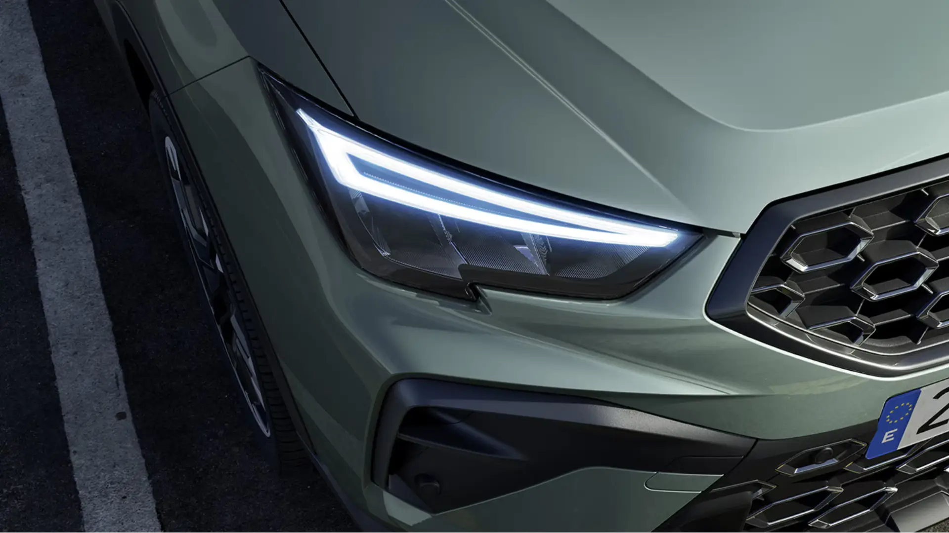 immagine di galleria