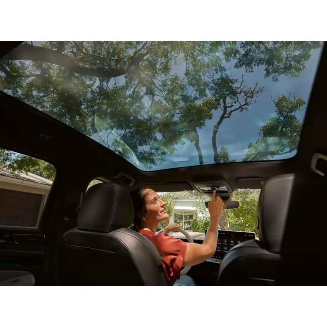 immagine di galleria