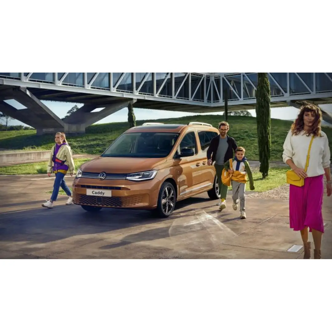 immagine di galleria