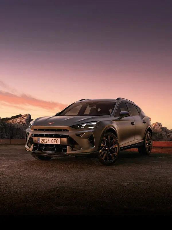 immagine CUPRA FORMENTOR Dark Night