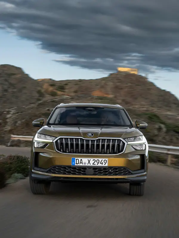 immagine SKODA KODIAQ Selection