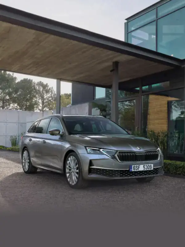 immagine SKODA Nuova Octavia Executive