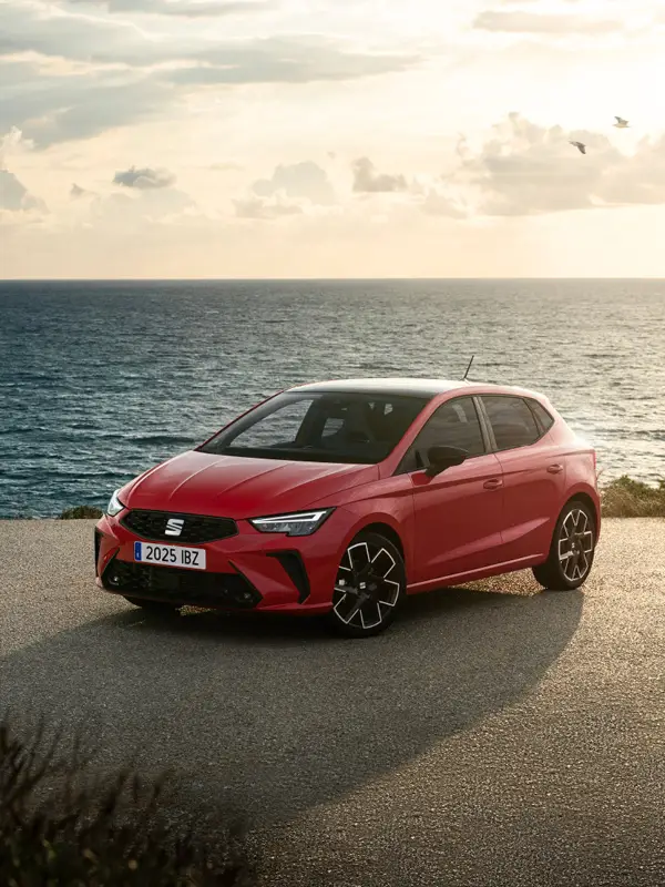 immagine SEAT Nuovo Ibiza